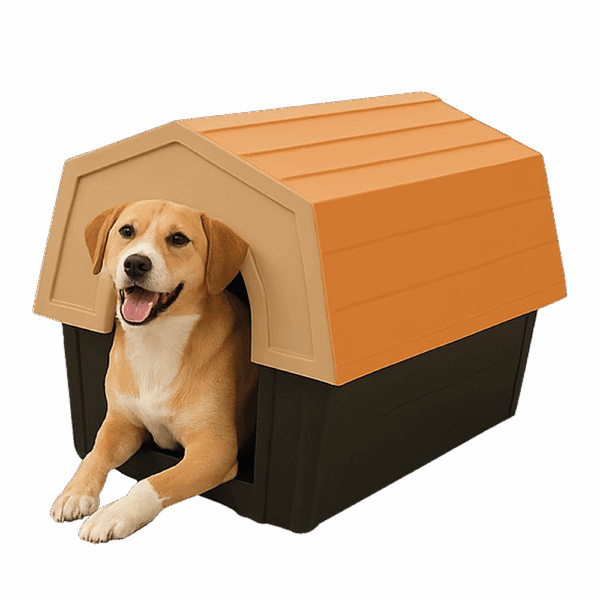 Dog Kennel