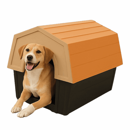 Dog Kennel
